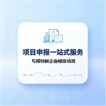 专精特新企业梯度培育(咨询服务)